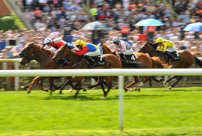 Newmarket Races