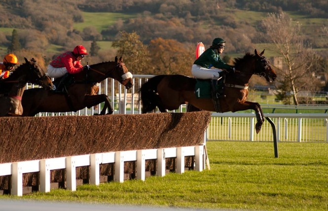Cheltenham Open November Meeting