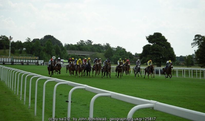 York Racecourse