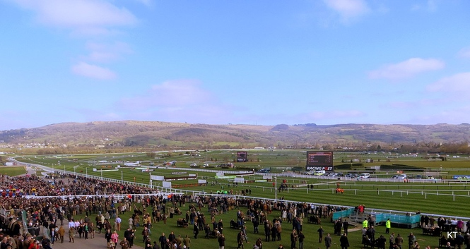 Crowds at Cheltenham