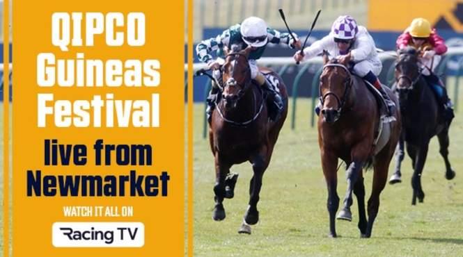 Guineas Festival